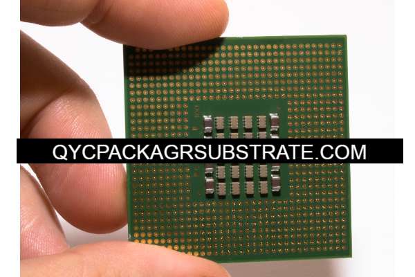 PGA Package Substrate -  - 1